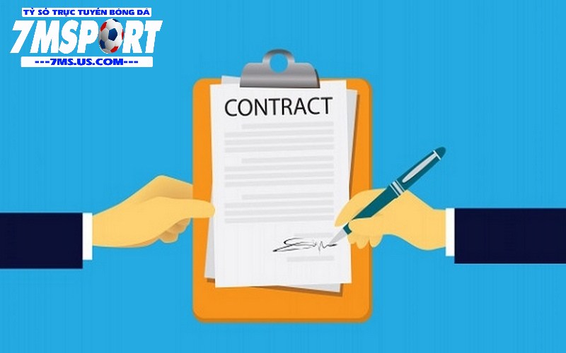 Điều khoản 7m là quy định giúp nền tảng thể hiện sự uy tín Điều khoản 7m là quy định giúp nền tảng thể hiện sự uy tín